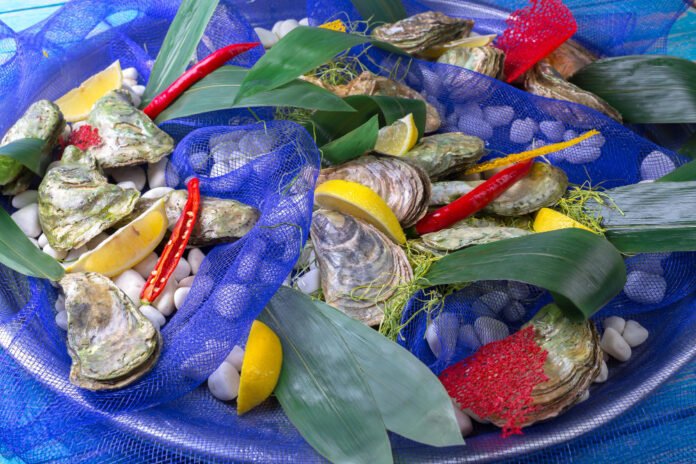 wonder seafood